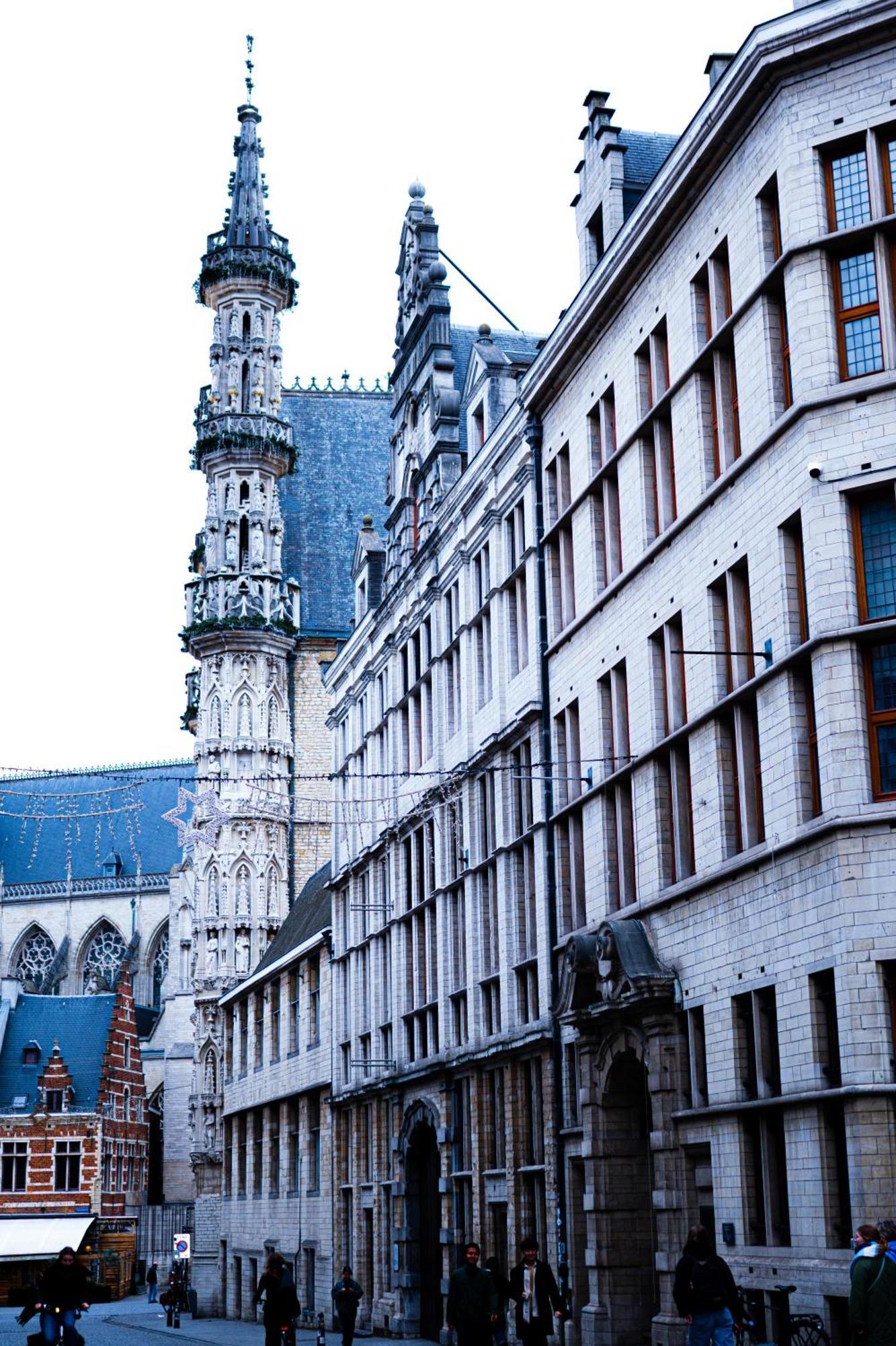 Hotel Professor Löwen Exterior foto